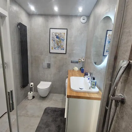 Harry's Apartment/centrum/parking * Breslavia